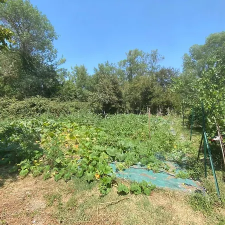 Maison D'artiste Climatisee Avec Jardin Privatif, La Campagne En * Нарбонна
