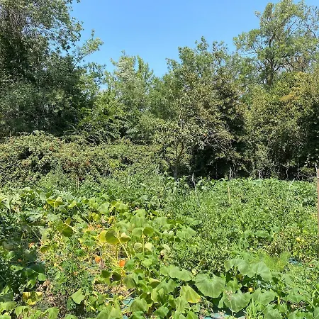 Maison D'artiste Climatisée Avec Jardin Privatif, La Campagne En Casa vacanze *
